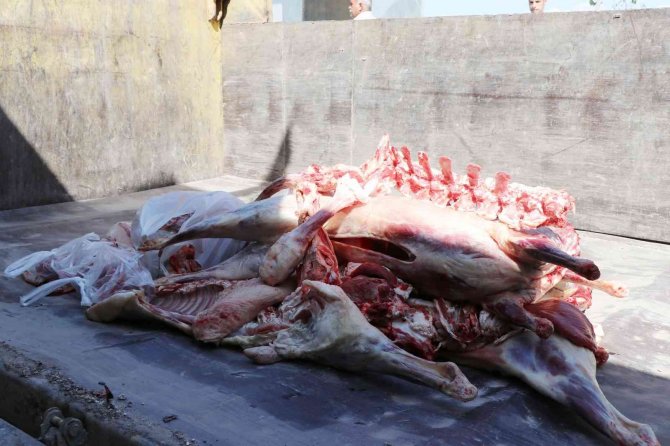Şanlıurfa’da 1 Ton 250 Kilo Bozuk Et Ele Geçirildi
