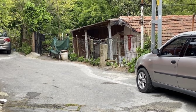 İ̇stanbul’da Ağabey Dehşeti: Kardeşini 7 Yerinden Bıçakladı