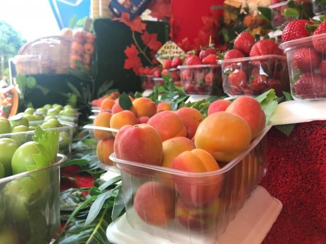 Kayısının Kilosu 50 Tl’den Tezgâhta