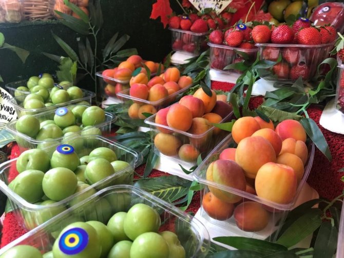 Kayısının Kilosu 50 Tl’den Tezgâhta