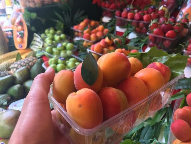 Kayısının Kilosu 50 Tl’den Tezgâhta