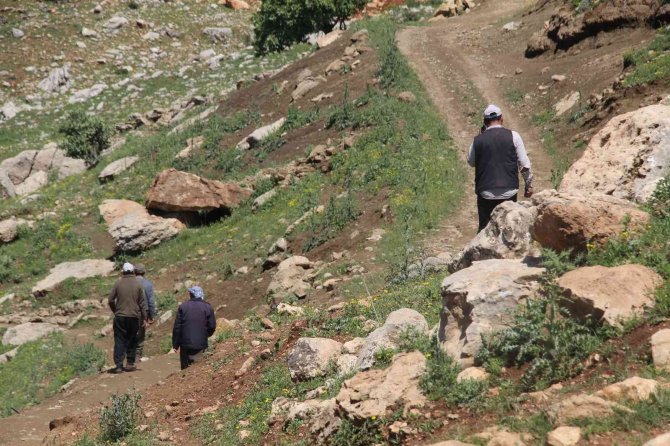 Gabar Dağı’nda İki Gündür Kayıp Olan Vatandaşı Bulma Çalışmaları Devam Ediyor