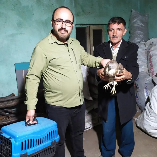 Yaralı Bulunan Arı Şahini Akürem’de Tedavi Altına Alındı