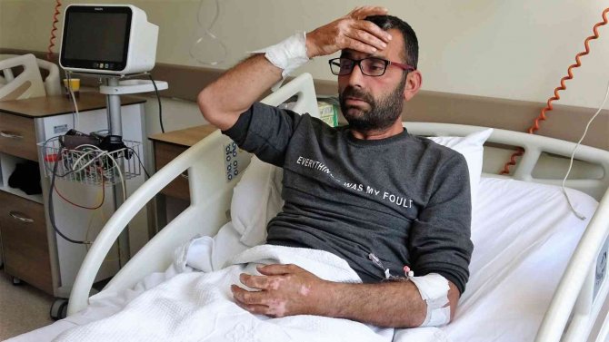 Kene Uygun Şekilde Çıkarılmadığında Ölümcül Oluyor