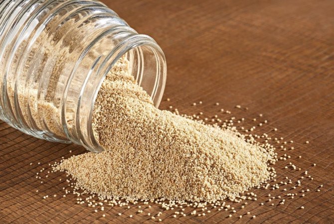 Beyaz Haşhaşın 2,5 Yıllık İhracat Hasreti Bitti