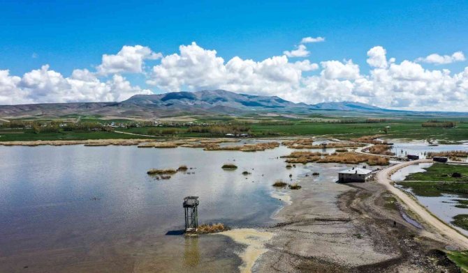 Vanlı Öğrenciler Kuş Gözlemi Yapıp Bilgilendirildi