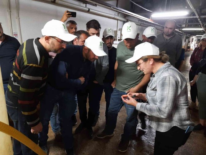 Mantar Üreticisilerine Işıklı Tuzak, Dezenfektan Ve Nematod Dağıtımı Yapıldı