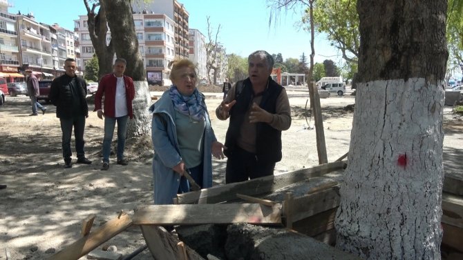 Ağacın Kökünün Betonla Kapatılmasına Karşı Çıkan Çevreci Keserle Betonu Kırdı