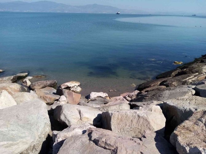 Lodos Esti, Deniz Yerine Geldi