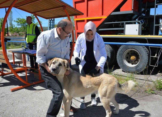 Bozüyük’te Ücretsiz Kuduz Aşısı Kampanyası