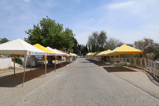 Didim’de Vegfest Heyecanı Başladı