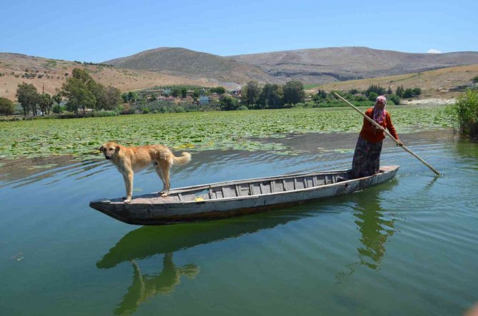 Gölbaşı Gölü Hayran Bırakıyor