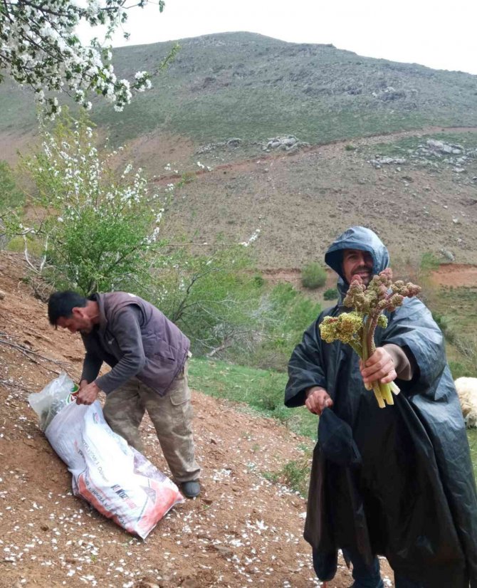 Elazığ’da Zorlu Işkın Mesaisi Sürüyor