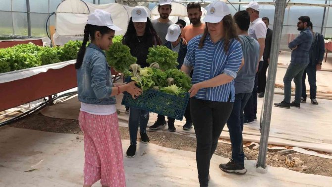 Özel Çocuklar ‘Engelliler Haftası’nda Ektiklerini Biçerek Parti Verdi