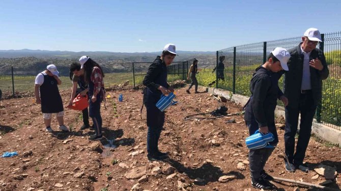 Özel Çocuklar ‘Engelliler Haftası’nda Ektiklerini Biçerek Parti Verdi
