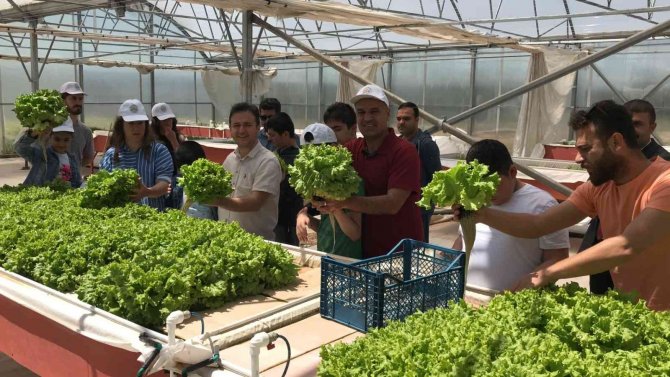 Özel Çocuklar ‘Engelliler Haftası’nda Ektiklerini Biçerek Parti Verdi