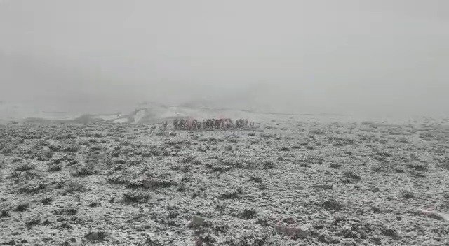 Tekman’da Mayıs Ayında Kar Sürprizi
