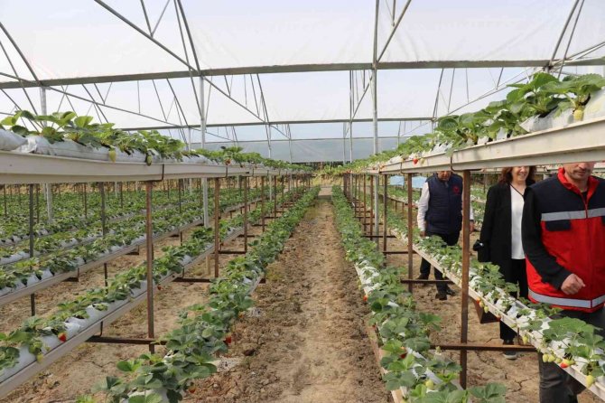 ‘Tarımsal Üretimde En Son Çare Kimyasal Mücadele’