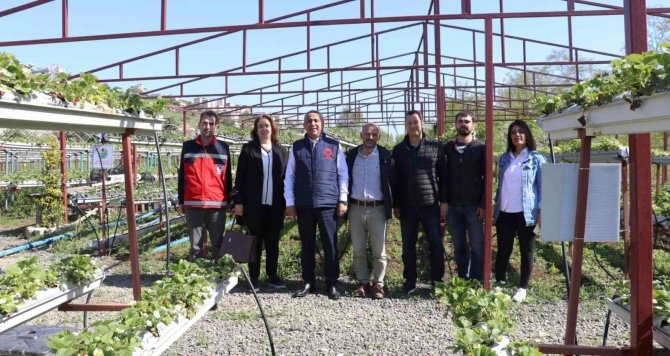 ‘Tarımsal Üretimde En Son Çare Kimyasal Mücadele’