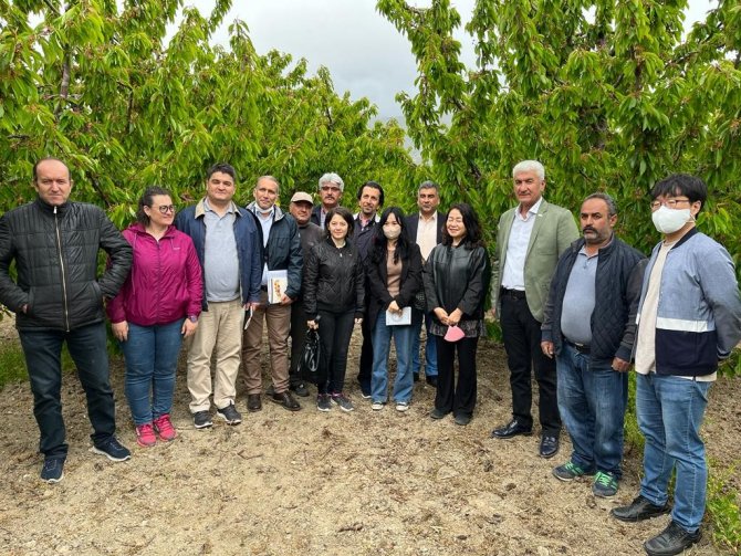 Bai̇b’den Güney Kore’ye Kiraz İhracatı Çalışmaları
