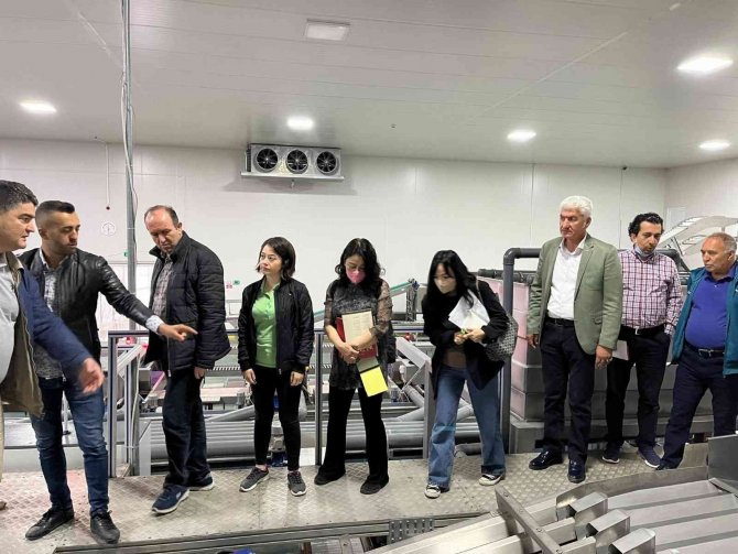 Bai̇b’den Güney Kore’ye Kiraz İhracatı Çalışmaları