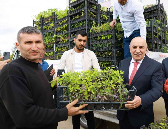 Keçiören Belediyesi 4 Köyde Ücretsiz Fide Dağıttı