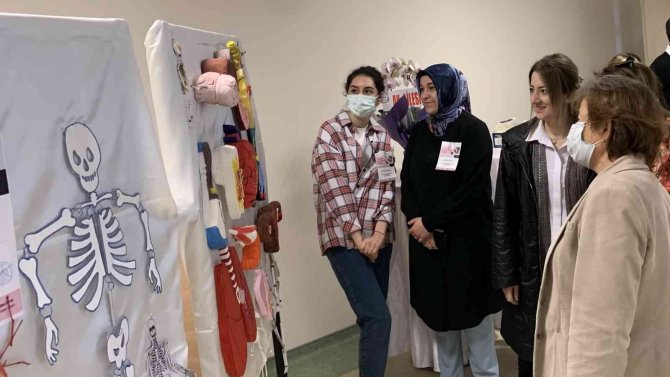 1. Anatomi Materyalleri Sergisi: Farklı Maddeler Anatomik Materyallere Dönüştü