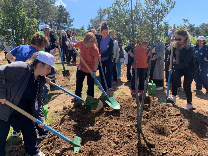 Pendik’te Hemşireler 200 Fidan Dikerek "Koşuyolu Hatıra Ormanı" Oluşturdu