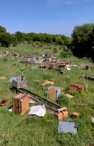 Tekirdağ’da Kovanları Kırıp 4 Milyon Arıyı Telef Ettiler