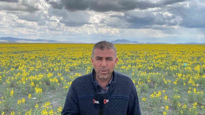 Bu Güzelliğin Koparmanın Cezası 109 Bin Tl