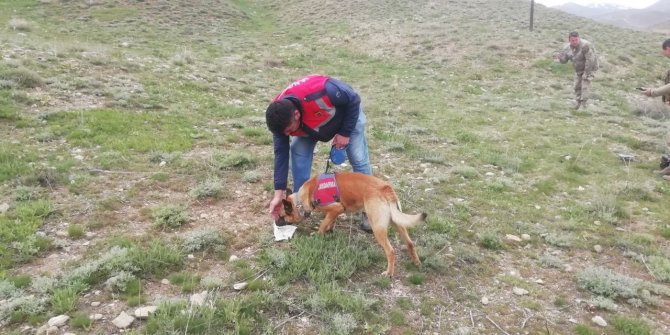 Başkale’de Pancar Toplarken Kaybolan Kadın Bulundu