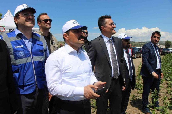 Vali Masatlı, Zi̇ha İle İlaçlama Yaptı