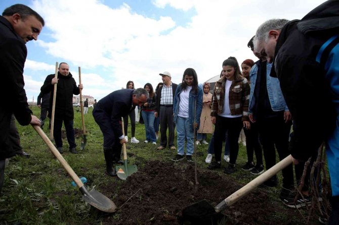 Ai̇çü’de Fidanlar Meyve Vermesi İçin Toprakla Buluşturuldu