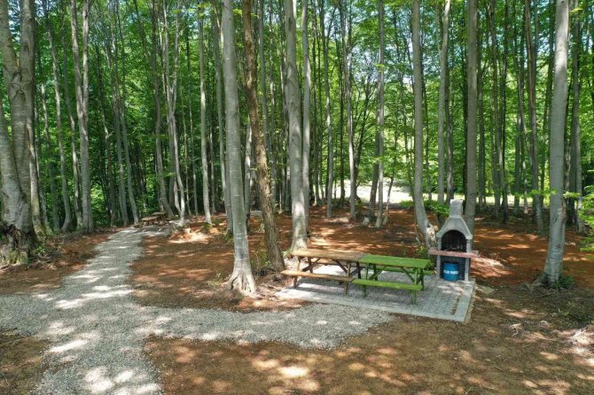 Güzlek Mesire Alanı Şenlikle Açılıyor