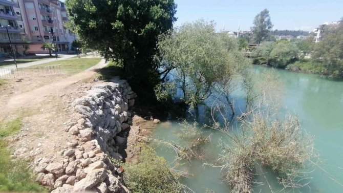 Dengesini Kaybedip 2 Metre Yükseklikten Düşen Adamı Böğürtlen Dalları Kurtardı