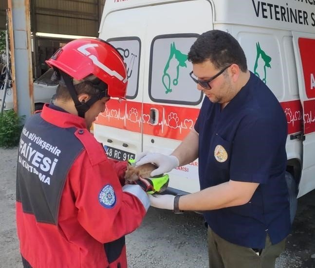 Aracın Motor Kısmına Sıkışan Kediyi İtfaiye Kurtardı