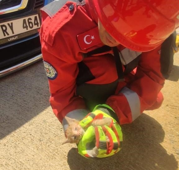 Aracın Motor Kısmına Sıkışan Kediyi İtfaiye Kurtardı
