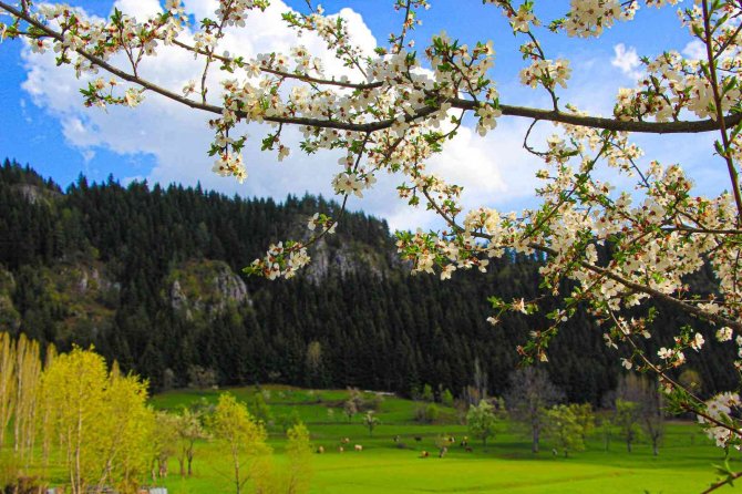 ’Sakin Şehir’ Şavşat’tan İlkbahar Manzaraları