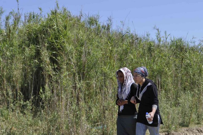 Ceyhan Nehri’nde Kaybolan Çocuk 3 Gündür Aranıyor