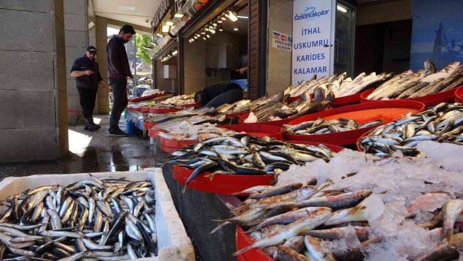 Mayıs’ta Küçük Balıkçılara Hamsi Süprizi