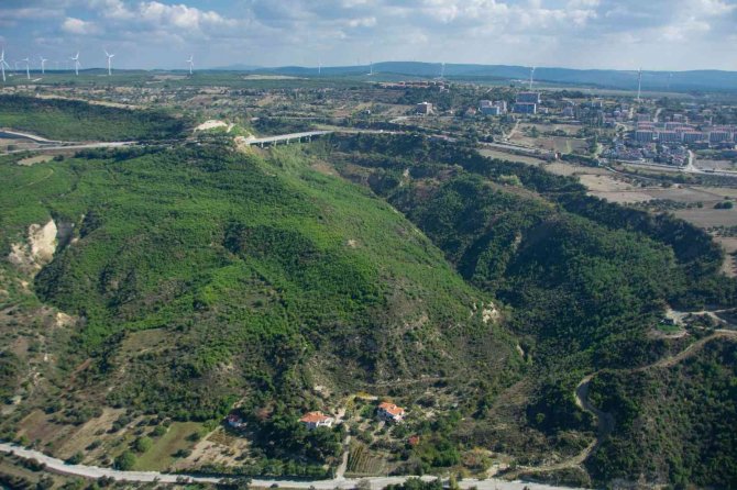 Çanakkale’de 2008 Yılında Küle Dönen Alan Dikilen 2 Milyondan Fazla Fidanla Yeniden Yeşillendi