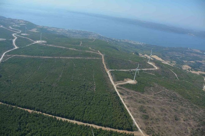 Çanakkale’de 2008 Yılında Küle Dönen Alan Dikilen 2 Milyondan Fazla Fidanla Yeniden Yeşillendi