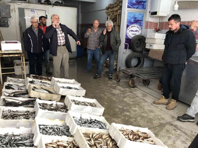 Balıkçılar, Tezgâhlarını Süslemek İçin Mücadele Ediyor