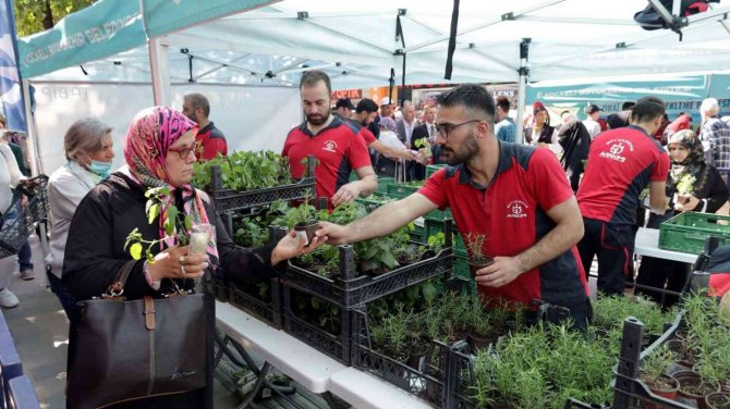Vatandaşa 82 Bin Fide Dağıtıldı