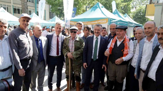 Vatandaşa 82 Bin Fide Dağıtıldı