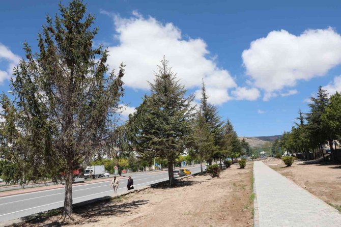 Kocasinan’da Şehrin Oksijen Deposu Parklar Yenileniyor