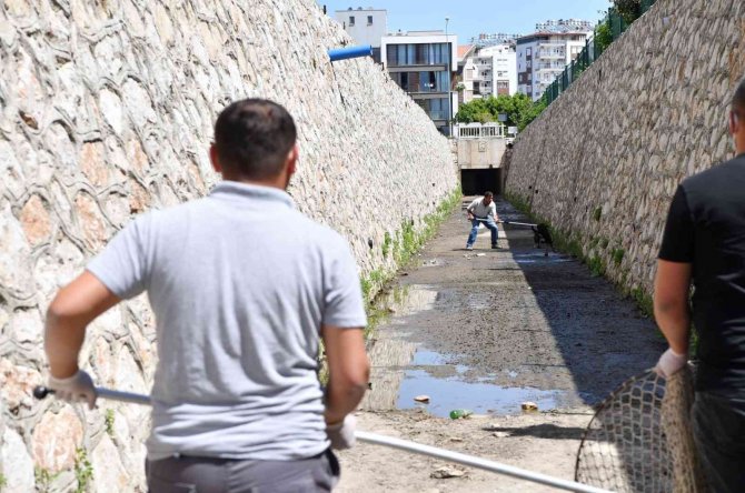 Dere Yatağında Mahsur Kalan Köpekleri Konyaaltı Belediyesi Kurtardı