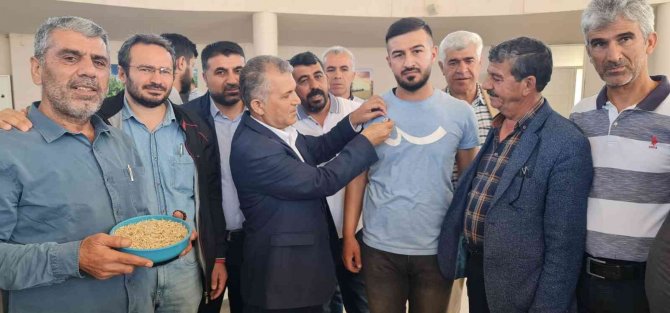 Mardin’de Yılın İlk Arpa Hasadı Başladı, Çiftçiye Altın Hediye Edildi