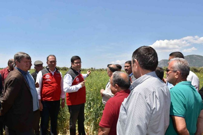 Ören Mahallesinde Tarla Günü