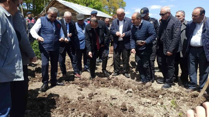 Kuru Fasulye Tohumları 1080 Rakımda Toprakla Buluştu